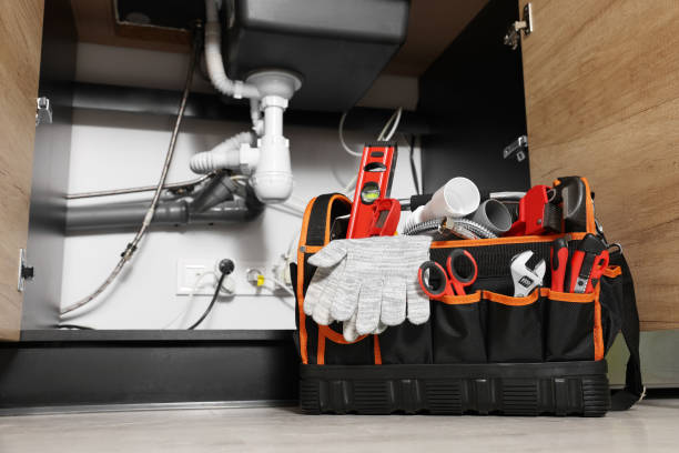 Best Local Plumber Services  in Pocono Ranch Lands, PA